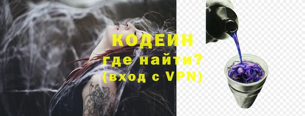 гашик Вязьма