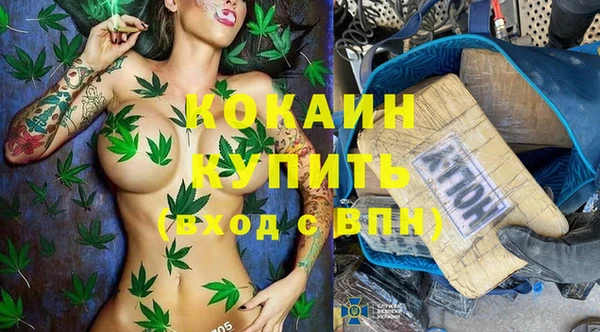 гашик Вязьма