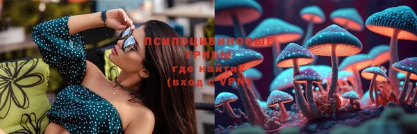 гашик Вязьма