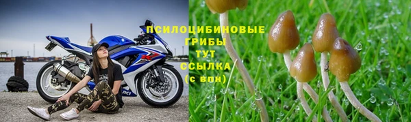 гашик Вязьма