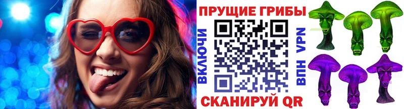 Купить где Сыктывкар Галлюциногенные грибы GOLDEN TEACHER